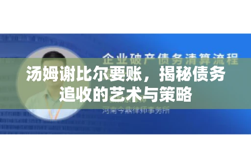 汤姆谢比尔要账，揭秘债务追收的艺术与策略