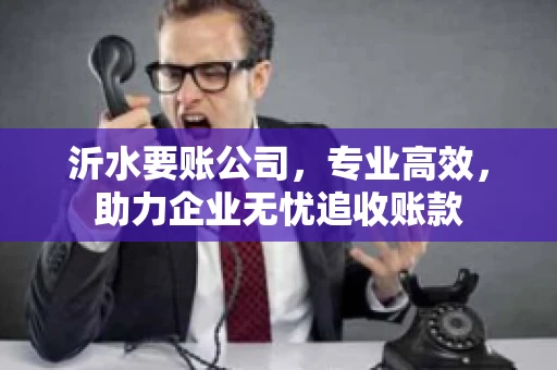 沂水要账公司，专业高效，助力企业无忧追收账款