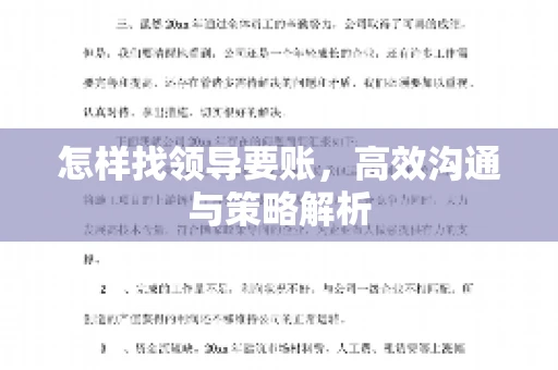 怎样找领导要账，高效沟通与策略解析