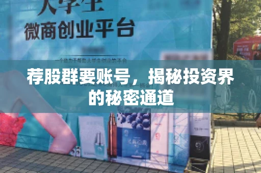 荐股群要账号，揭秘投资界的秘密通道