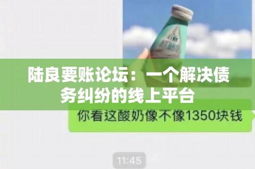 陆良要账论坛：一个解决债务纠纷的线上平台