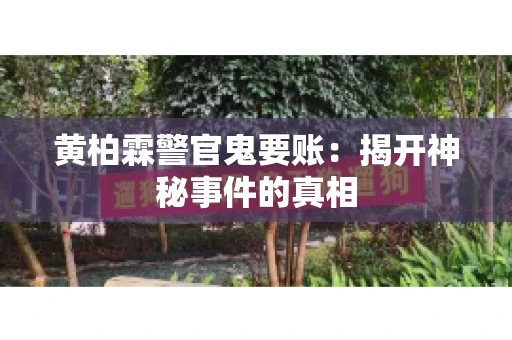 黄柏霖警官鬼要账：揭开神秘事件的真相