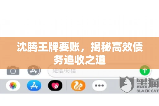沈腾王牌要账，揭秘高效债务追收之道