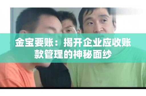 金宝要账：揭开企业应收账款管理的神秘面纱